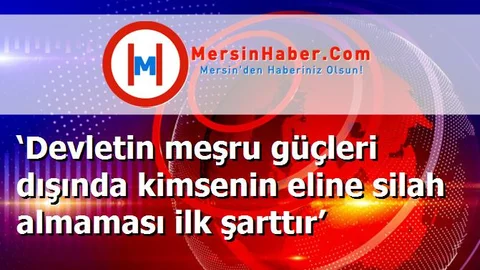 ‘Devletin meşru güçleri dışında kimsenin eline silah almaması ilk şarttır’