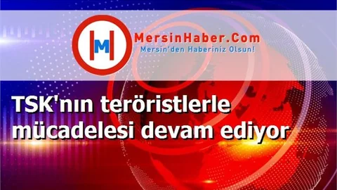 TSK'nın teröristlerle mücadelesi devam ediyor