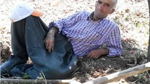 Ceviz toplamak için çıktığı ağaçtan düşen adam öldü