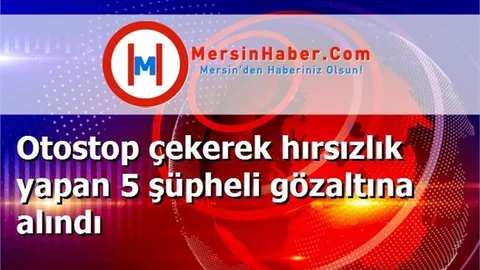 Otostop çekerek hırsızlık yapan 5 şüpheli gözaltına alındı