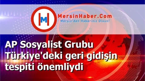 AP Sosyalist Grubu Türkiye'deki geri gidişin tespiti önemliydi