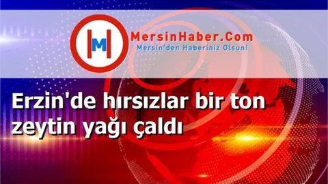 Erzin'de hırsızlar bir ton zeytin yağı çaldı