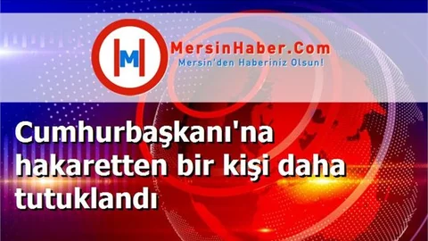Cumhurbaşkanı'na hakaretten bir kişi daha tutuklandı