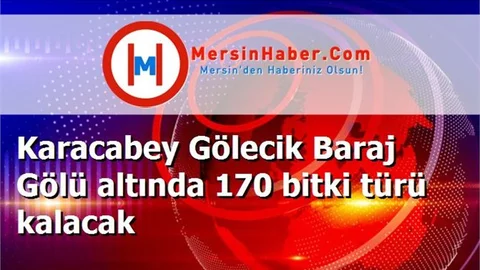Karacabey Gölecik Baraj Gölü altında 170 bitki türü kalacak