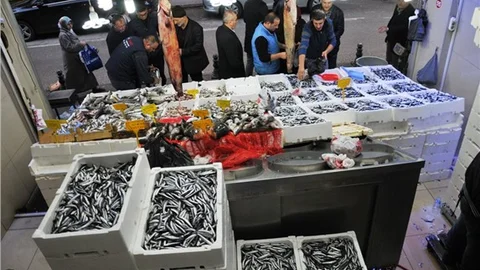 Palamut ve çinekopun yokluğunda bollaşan hamsi 3 liraya düştü
