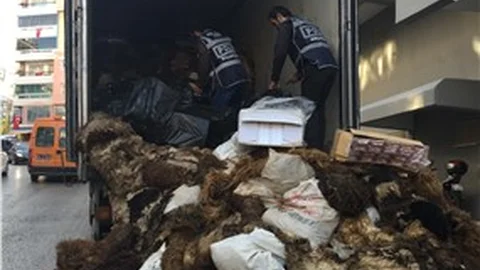 Koyun postlarıyla gizlenmiş kaçak sigaralar ele geçirildi