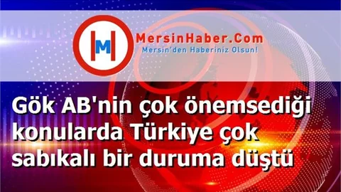Gök AB'nin çok önemsediği konularda Türkiye çok sabıkalı bir duruma düştü