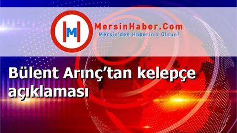 Bülent Arınç’tan kelepçe açıklaması