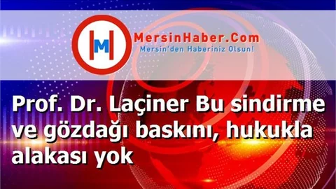 Prof. Dr. Laçiner Bu sindirme ve gözdağı baskını, hukukla alakası yok