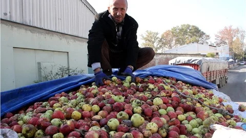 Fabrika fazla sipariş yaptı, 70 kamyon elma bozulmak üzere