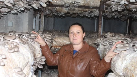Eşi işsiz kalınca yaprak mantarı üreterek ilçeye örnek oldu