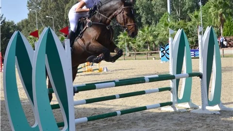 Atatürk Kupası Engel Atlama Binicilik Yarışlarına 15 kulüp 40 binici katılacak