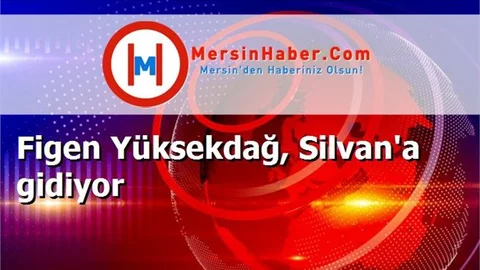 Figen Yüksekdağ, Silvan'a gidiyor