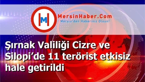 Şırnak Valiliği Cizre ve Silopi’de 11 terörist etkisiz hale getirildi