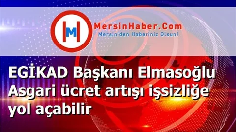 EGİKAD Başkanı Elmasoğlu Asgari ücret artışı işsizliğe yol açabilir