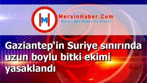 Gaziantep'in Suriye sınırında uzun boylu bitki ekimi yasaklandı