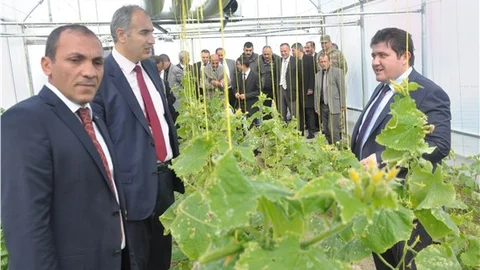Erzurum'da güneş enerjili seracılık sistemi yaygınlaştırılıyor