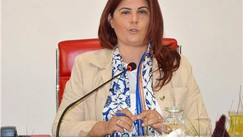 Aydın Büyükşehir Belediyesi'nin 2016 yılı bütçesi 760 milyon lira