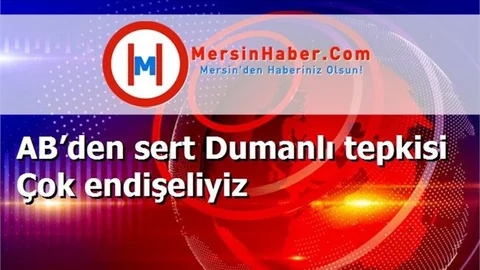 AB’den sert Dumanlı tepkisi Çok endişeliyiz
