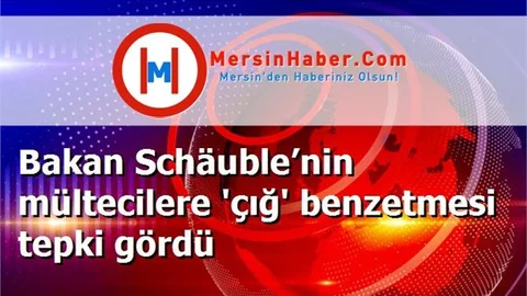 Bakan Schäuble’nin mültecilere 'çığ' benzetmesi tepki gördü
