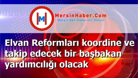 Elvan Reformları koordine ve takip edecek bir başbakan yardımcılığı olacak