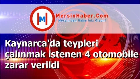 Kaynarca'da teypleri çalınmak istenen 4 otomobile zarar verildi