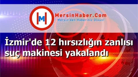 İzmir'de 12 hırsızlığın zanlısı suç makinesi yakalandı