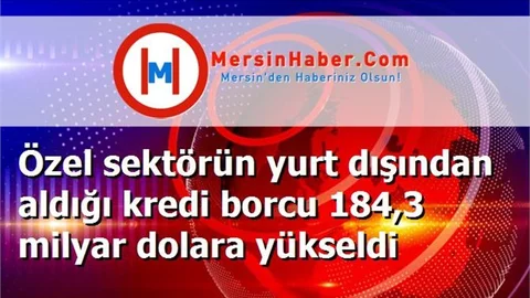 Özel sektörün yurt dışından aldığı kredi borcu 184,3 milyar dolara yükseldi