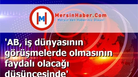 'AB, iş dünyasının görüşmelerde olmasının faydalı olacağı düşüncesinde'