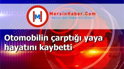 Otomobilin çarptığı yaya hayatını kaybetti