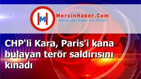 CHP'li Kara, Paris'i kana bulayan terör saldırısını kınadı