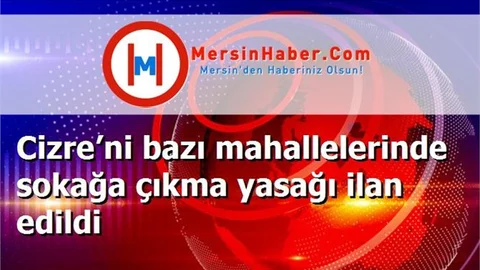 Cizre’ni bazı mahallelerinde sokağa çıkma yasağı ilan edildi