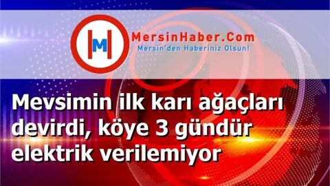 Mevsimin ilk karı ağaçları devirdi, köye 3 gündür elektrik verilemiyor