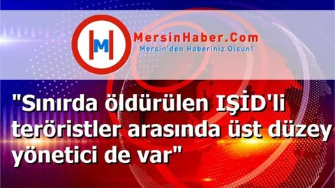 "Sınırda öldürülen IŞİD'li teröristler arasında üst düzey yönetici de var"
