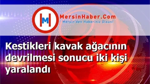 Kestikleri kavak ağacının devrilmesi sonucu iki kişi yaralandı