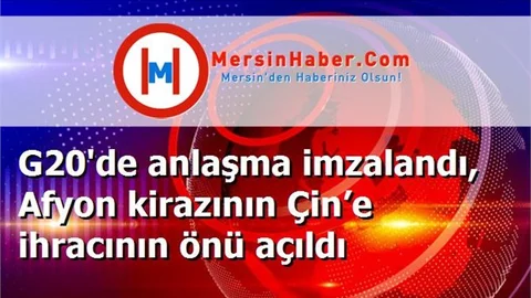 G20'de anlaşma imzalandı, Afyon kirazının Çin’e ihracının önü açıldı