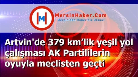 Artvin'de 379 km’lik yeşil yol çalışması AK Partililerin oyuyla meclisten geçti