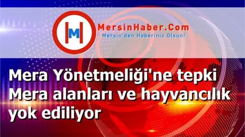 Mera Yönetmeliği'ne tepki Mera alanları ve hayvancılık yok ediliyor