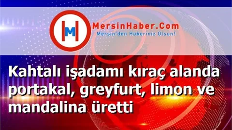 Kahtalı işadamı kıraç alanda portakal, greyfurt, limon ve mandalina üretti