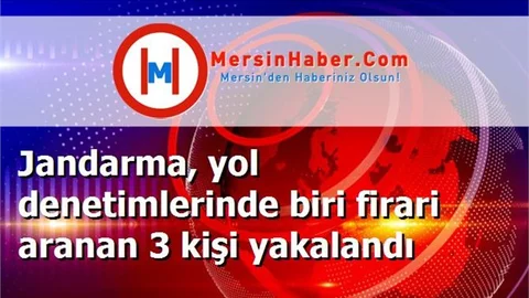 Jandarma, yol denetimlerinde biri firari aranan 3 kişi yakalandı