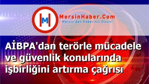 AİBPA'dan terörle mücadele ve güvenlik konularında işbirliğini artırma çağrısı