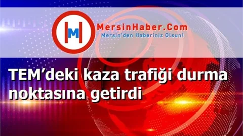 TEM’deki kaza trafiği durma noktasına getirdi