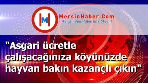 "Asgari ücretle çalışacağınıza köyünüzde hayvan bakın kazançlı çıkın"