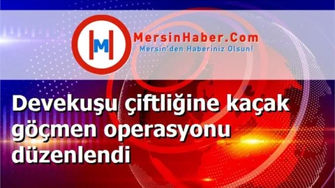 Devekuşu çiftliğine kaçak göçmen operasyonu düzenlendi