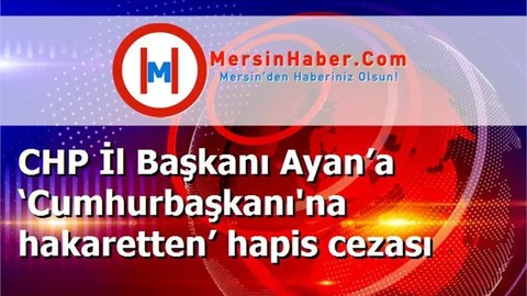 CHP İl Başkanı Ayan’a ‘Cumhurbaşkanı'na hakaretten’ hapis cezası