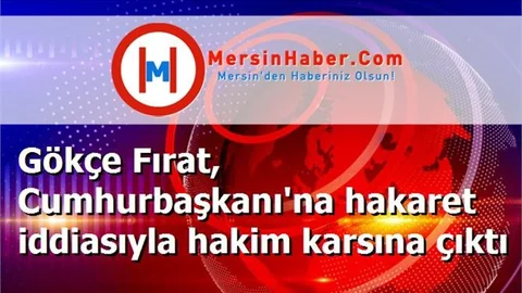 Gökçe Fırat, Cumhurbaşkanı'na hakaret iddiasıyla hakim karsına çıktı