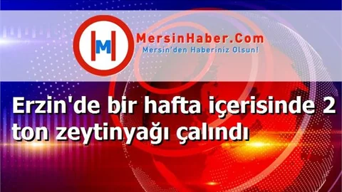 Erzin'de bir hafta içerisinde 2 ton zeytinyağı çalındı