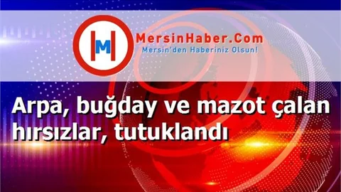 Arpa, buğday ve mazot çalan hırsızlar, tutuklandı