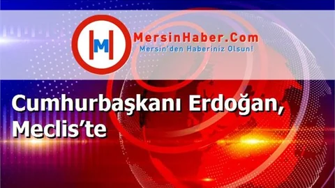 Cumhurbaşkanı Erdoğan, Meclis’te