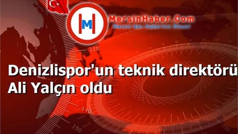 Denizlispor'un teknik direktörü Ali Yalçın oldu